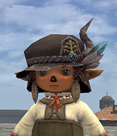 #028Υͥ/FFXIĥǥ5ơ֥ɥⶭ׺ǿ󡣥ץ쥤䡼οʷƤξ֥⥰ǥפʤɤξ󤬸