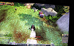 G-Star 2011ϡWorld of Warcraft: Mists of Pandariaפץ쥤֥ŸѥˤϤޤʤѥι