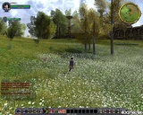 The Lord of the Rings Online