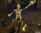 Dungeons & Dragons Online: Eberron Unlimited