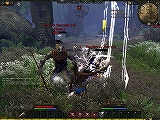 Age of ConanHyborian AdventuresפPvP Beta Weekend̤ƴܺΡڤ̥ϡפȤϡ