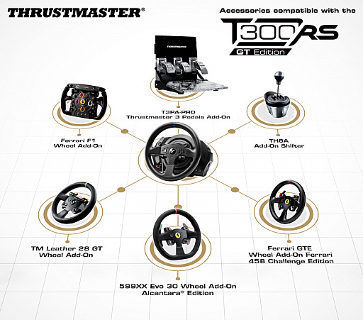 Thrustmasterƥ󥰥ȥT300RSפˡGT SPORTץ饤󥹼Ǥä