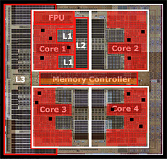 Quad-Core Opteronפγפ褿٤Phenomפ¬