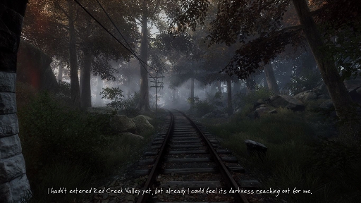 ǥξRoom353The Vanishing of Ethan Carter