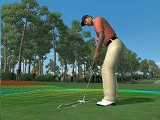 #004Υͥ/åե㡼եTiger Woods PGA TOUR 08פΥǥǤǺ