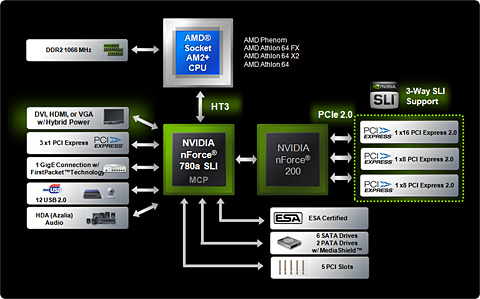 NVIDIAAMDCPUåץåȡnForce 780a SLIפȯɽmGPUܡHybrid SLIбΥե饰å