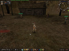 ȲƻMMORPGɤäƤʤKAROS ONLINEפץ쥤ɤäפΤƤߤ