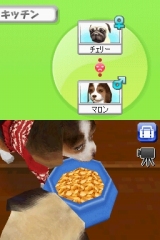 奢륷꡼2980 Petz Dogz ɥå