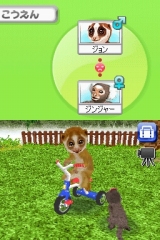 奢륷꡼2980 Petz Monkeyz 󥭡