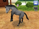 奢륷꡼2980 Petz Horsez ۡ