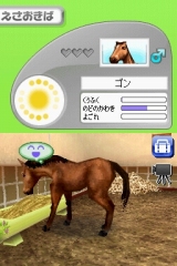 奢륷꡼2980 Petz Horsez ۡ