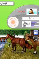 奢륷꡼2980 Petz Horsez ۡ