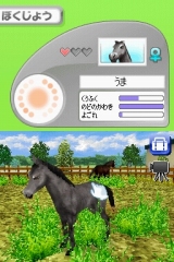 奢륷꡼2980 Petz Horsez ۡ