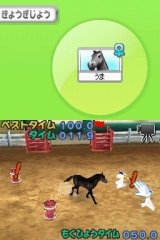 奢륷꡼2980 Petz Horsez ۡ