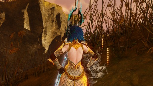 ArcheAge׿쥤ɥܥ֥꡼ץץ쥤ݡȡؤ줿ˡĻȤ絬Ϥ褬Ϥޤ롪