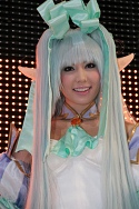 TGS 2010ϥоŪǲͥޤǡ絬ϡˤǤϤTGSѥ˥̿Ǻ