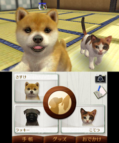 #001Υͥ/ȥסɥ뤫Ƹǽ˻ҸϤɤˤ롩nintendogs  catsפθȤ3Υѥåܺ٤餫