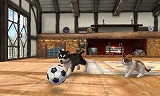 nintendogs + cats ȥסɥ  Newե