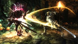 GamescomϹڥåտؤˤܳɥ󥰥륢RPGKingdoms of Amalur: ReckoningפμϤϡ