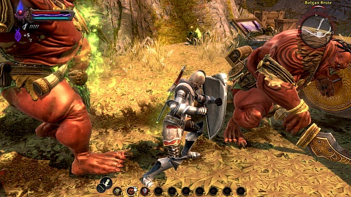 ꡼ꥫȡ󥰻ΥҤȯRPGKingdoms of Amalur: ReckoningפΥӥ塼Ǻ