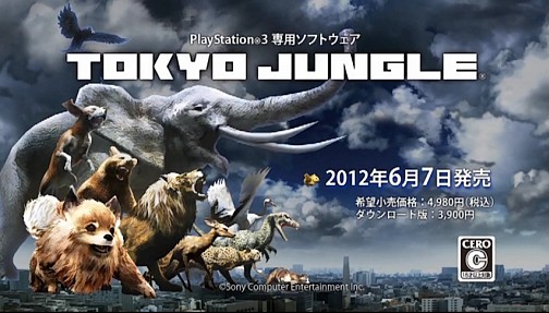 ݥ˥󤬥ҥ襳餤᥹ȸ׷ʡˡܺ TOKYO JUNGLEפ̥Ϥץ쥤ࡼӡǾҲ