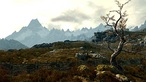 The Elder Scrolls V: SkyrimפΥǽǤǿࡼӡʼȤǺ줿SkyrimȤ