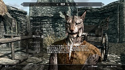 #014Υͥ/The Elder Scrolls V: SkyrimפΥӥ塼ǺܡꤳܤΥϥե󥿥ʤ顤鿴Ԥؤͥ˺ʤѤʤ̿RPG