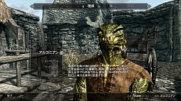 #018Υͥ/The Elder Scrolls V: SkyrimפΥӥ塼ǺܡꤳܤΥϥե󥿥ʤ顤鿴Ԥؤͥ˺ʤѤʤ̿RPG