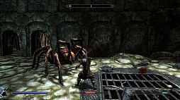 The Elder Scrolls V: SkyrimפΥӥ塼ǺܡꤳܤΥϥե󥿥ʤ顤鿴Ԥؤͥ˺ʤѤʤ̿RPG