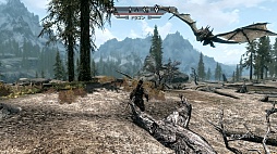 The Elder Scrolls V: SkyrimפΥӥ塼ǺܡꤳܤΥϥե󥿥ʤ顤鿴Ԥؤͥ˺ʤѤʤ̿RPG