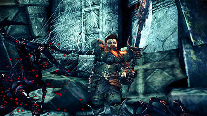 #012Υͥ/ѥDragon Age: Origins - Awakeningפо줹뿷ʥѡƥС⡤ǤʤʥĤФ