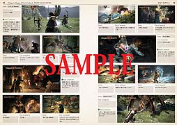 ץ󡤡Dragons Dogma׸ե֥åȯǿҾ