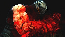 ͤڤ륨󥿡ƥȤϤNINJA GAIDEN 3פťץǥ塼ͤ륢󥲡ηȤ