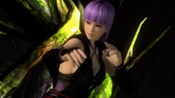 DEAD OR ALIVE 5פ˥ȥ餬Ȼ魯뤳ȤˤʤäåȤϡ ƥ⡦SEGAȯؤؤΥ󥿥ӥ塼Ǻ