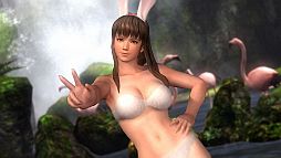 PS3DEAD OR ALIVE 5ץǤƱȯ䤬ꡣʤ7400