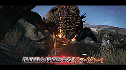 Dragon's Dogma: Dark ArisenץڥѥåξҲPVŵDVDμϿ⾯ǧǽ