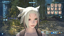 MMORPG鿴ԤFFե£ֿFFXIVץɡ2ϡιΩΤäƤ֥饹פּ²פʤɤҲ