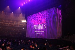  No.012Υͥ / Υҥǲͥ꡼ʤɤ줿THE PRIMALS Live in Japan - Darkest Before Dawnץݡ