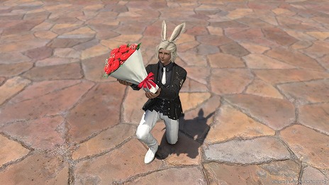 鯤ۤơFFXIVץʥ륤٥ȡ֥ƥǡפ23˳ϡ⡼ȡֲ«£פ