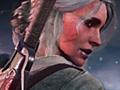 The Witcher 3: Wild Huntפ2015ǯ224˳ǥ꡼ΡȽå㡼ɤʪΥ򰮤롩