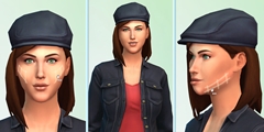 gamescomϤȿʹŪɤˤʤäȤϡĤ˾󤬸줿꡼ǿThe Sims 4פˤĤơץǥ塼Ryan VaughanäʹƤ