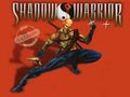 ΥȥShadow WarriorפFree-to-Playˤʤä衣ꥸʥǤSteamۿϤ