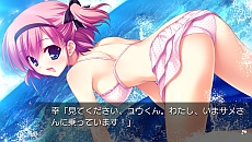 ADV֥ꥶβ̼-LE FRUIT DE LA GRISAIA-פPS VitaǤȯɽå꡼б2013ǯ8ȯ