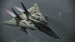 #006Υͥ/ACE COMBAT INFINITYסŨϾߡ֥ȡإ󥸡סо