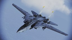  No.005Υͥ / ACE COMBAT INFINITY13ƥåץǡȼ»ܡ饤Ʊ˿ߥåɲäʤ