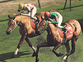 Winning Post 8סȡ꡼⡼ɤγפȡʡ֥꡼Ǥץ쥤䡼ȤǤ뤳ȡɤο