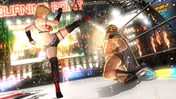 TGS 2014ϡ̵֥СפǡȤפ괶ɡDOA5LRפǡȤ餫ɤɵ᤹롣ƥ⥲ॹ βᥤ󥿥ӥ塼