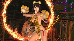  No.004Υͥ / DEAD OR ALIVE 5 Last RoundפȡDEAD OR ALIVE 5 Ultimate: Arcadeפˡ̵Х꡼ΰľפ