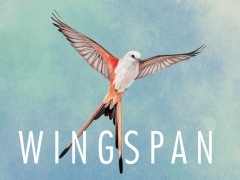 ϥSteam 314Ļ򽸤ݸ˭ˤƤάɥWingspan