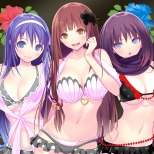 100ʾDLC̥꡼֤줿VALKYRIE DRIVE -BHIKKHUNI- Bikini Party Editionפ2017ǯ112ȯ